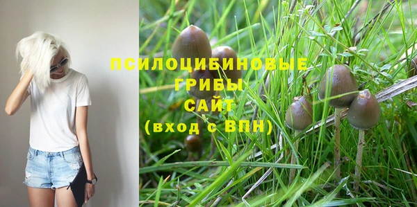 мяу мяу кристалл Няндома