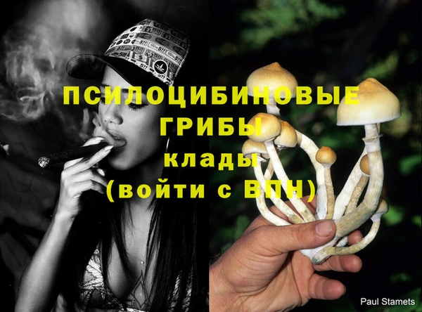 мяу мяу кристалл Няндома