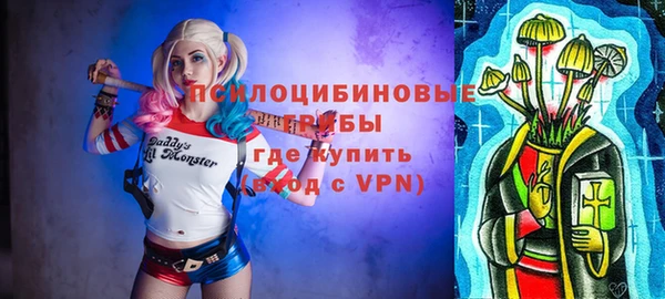 мяу мяу кристалл Няндома